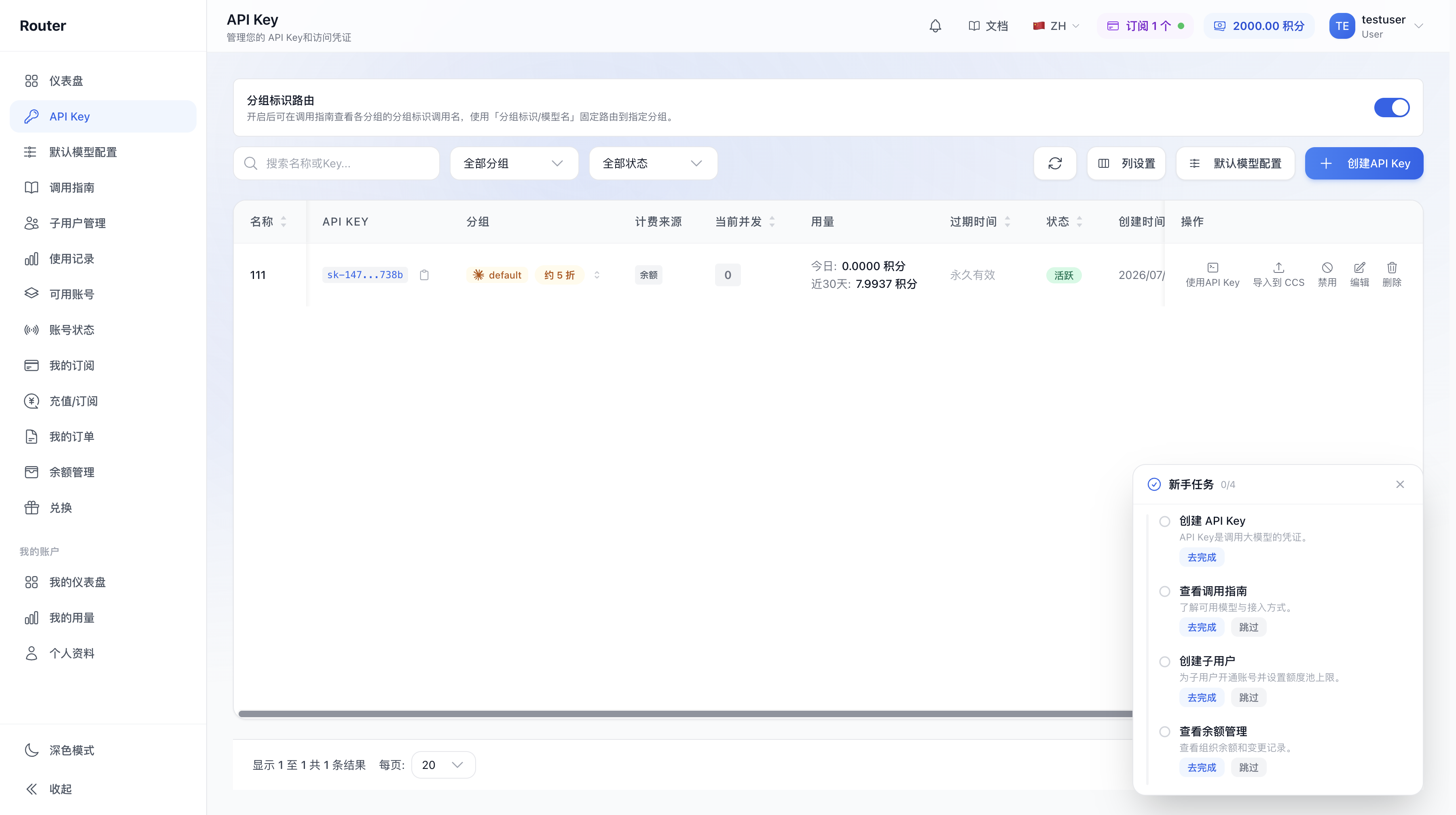 API Key 页面