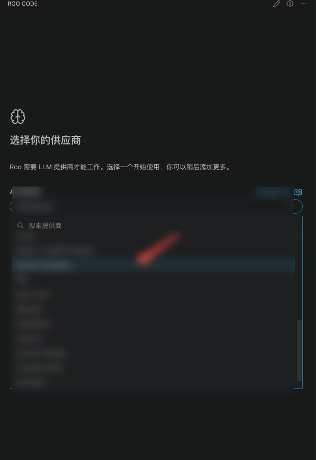 Roo Code Provider 选择界面